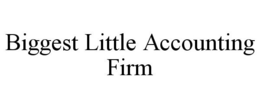 BIGGEST LITTLE ACCOUNTING FIRM trademark
