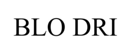 BLO DRI trademark