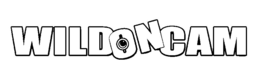 WILDONCAM trademark