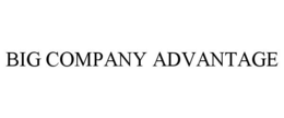 BIG COMPANY ADVANTAGE trademark