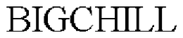 BIGCHILL trademark