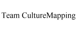 TEAM CULTUREMAPPING trademark