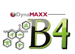 DYNAMAXX B4 H2N O OH trademark
