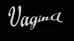 VAGINA trademark
