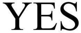 YES trademark