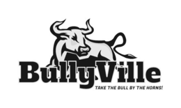BULLYVILLE TAKE THE BULL BY THE HORNS! trademark