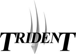 TRIDENT trademark