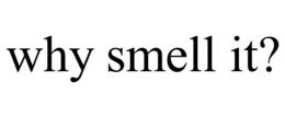 WHY SMELL IT? trademark