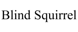 BLIND SQUIRREL trademark