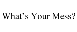 WHAT'S YOUR MESS? trademark