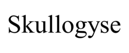 SKULLOGYSE trademark
