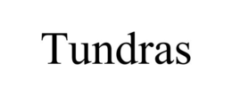 TUNDRAS trademark