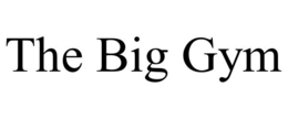 THE BIG GYM trademark