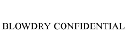 BLOWDRY CONFIDENTIAL trademark