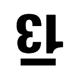13 trademark
