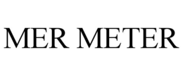 MER METER trademark