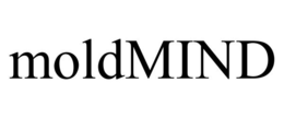 MOLDMIND trademark