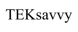 TEKSAVVY trademark