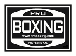 PRO BOXING WWW.PROBOXING.COM PROFESSIONAL trademark