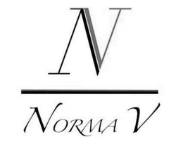 NORMA V N V trademark