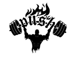 PUSH trademark