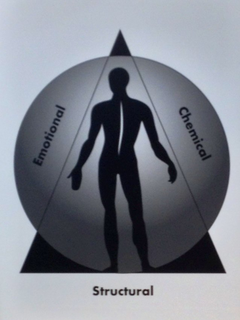 EMOTIONAL CHEMICAL STRUCTURAL trademark