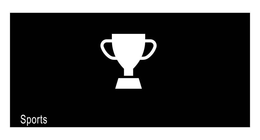 SPORTS trademark