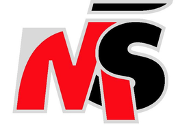 MS trademark