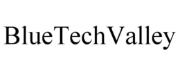 BLUETECHVALLEY trademark