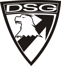 DSG trademark
