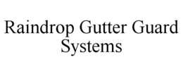 RAINDROP GUTTER GUARD SYSTEMS trademark