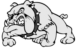 CSM trademark