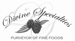 DIVINE SPECIALTIES PURVEYOR OF FINE FOODS trademark