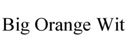 BIG ORANGE WIT trademark