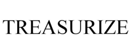 TREASURIZE trademark