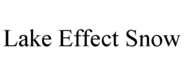 LAKE EFFECT SNOW trademark