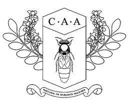 C·A·A NATURA IN MINIMIS MAXIMA trademark