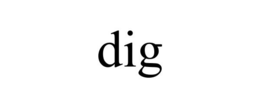 DIG trademark