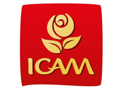 ICAM trademark