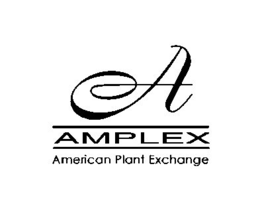 A AMPLEX AMERICAN PLANT EXCHANGE trademark