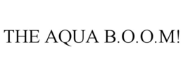 THE AQUA B.O.O.M! trademark