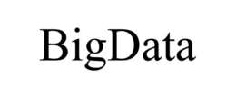 BIGDATA trademark