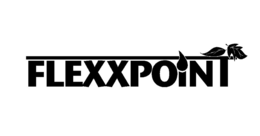FLEXXPOINT trademark