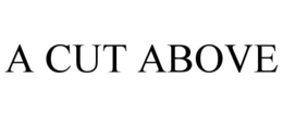 A CUT ABOVE trademark
