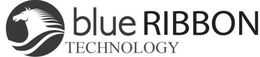 BLUE RIBBON TECHNOLOGY trademark