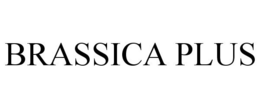BRASSICA PLUS trademark