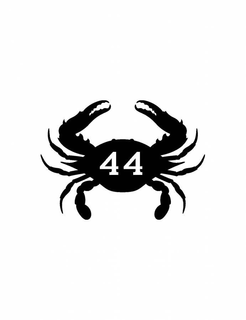 44 trademark