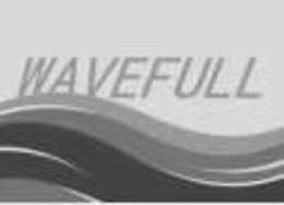 WAVEFULL trademark