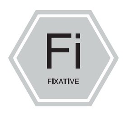 FI FIXATIVE trademark