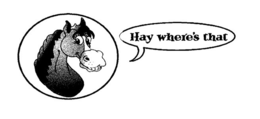 HAY WHERE'S THAT trademark